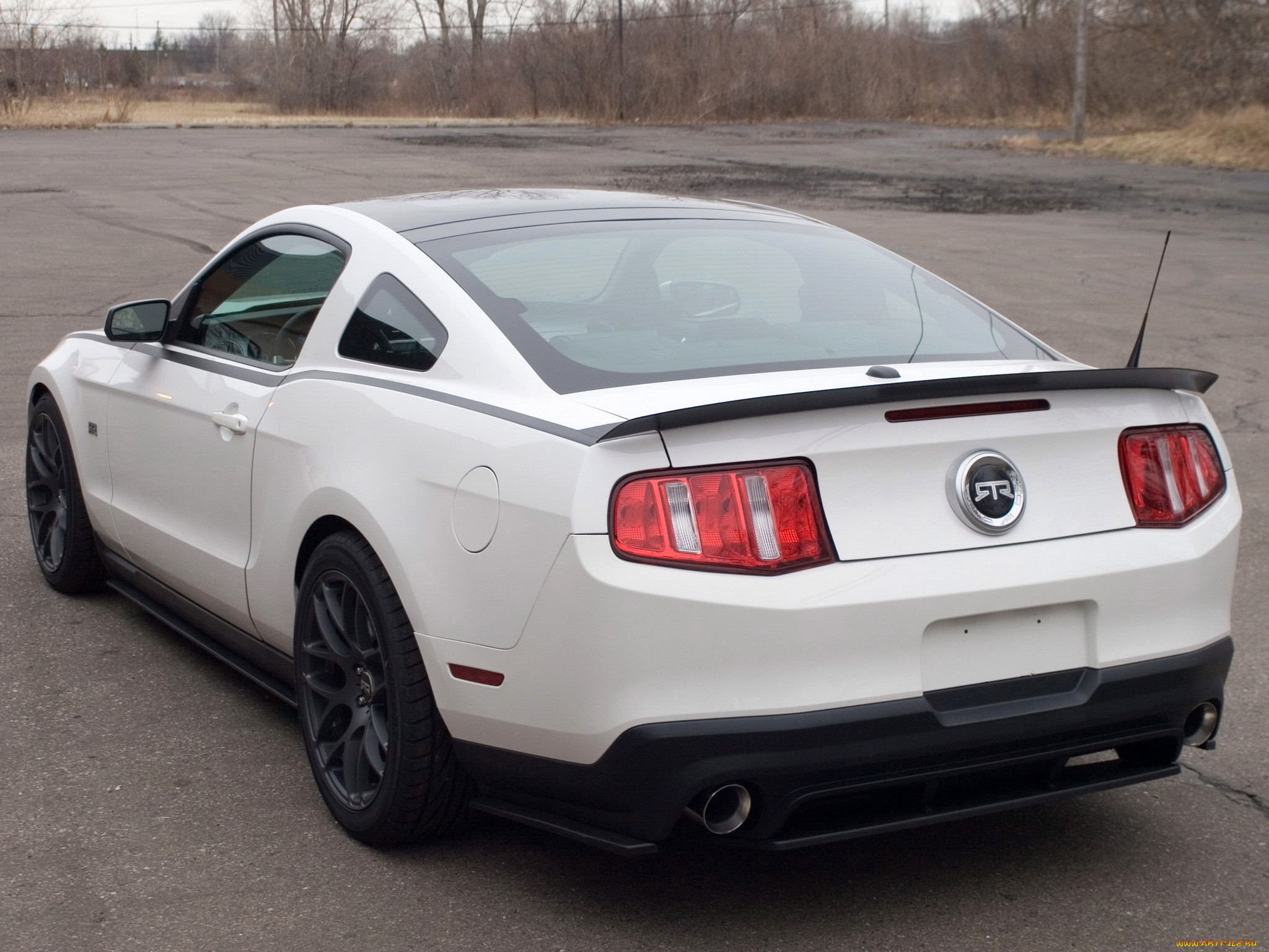 , mustang